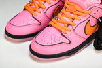 Powerpuff Girls x SB Dnk Low 'Blossom'