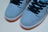 Dnk Low Pro SB 'Gulf'